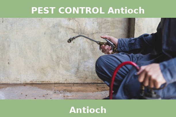 PEST CONTROL Antioch